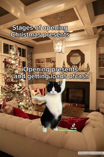 Funny Cat Memes Compilation for Christmas | Cat Dances and More!