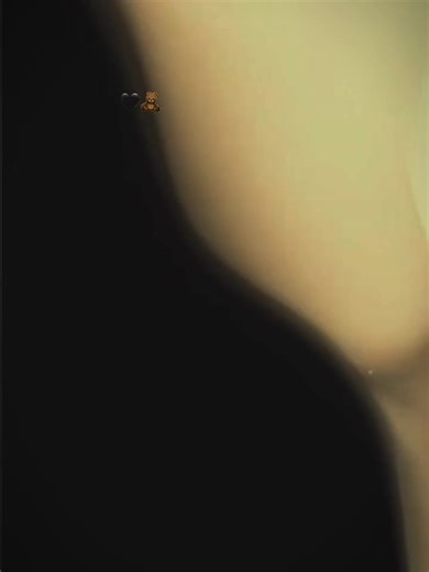 Maa Pyari Maa: Heartfelt Songs Celebrating Mothers