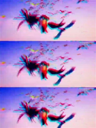 Rio bird free from the sky effects #sponsored by gamavision csupo effects