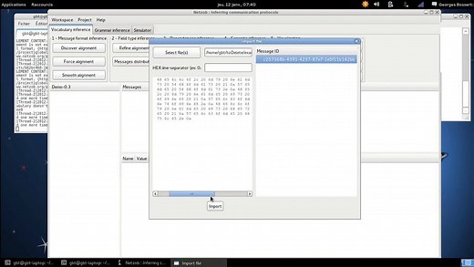 Netzob (Demo 1) Inferring and simulating a proprietary protocol