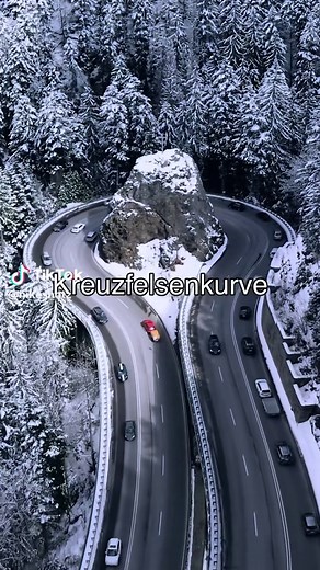 Explore the Beauty of the Black Forest in Germany