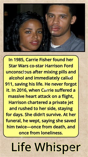 She Saved His Life in 1985… In 2016, He Tried to Save Hers 💔✈️ | A Bond Beyond Death