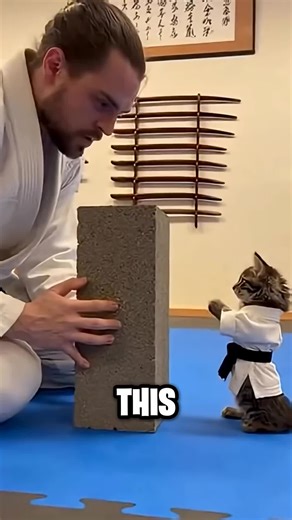 Incredible Cat Breaks Brick with One Punch