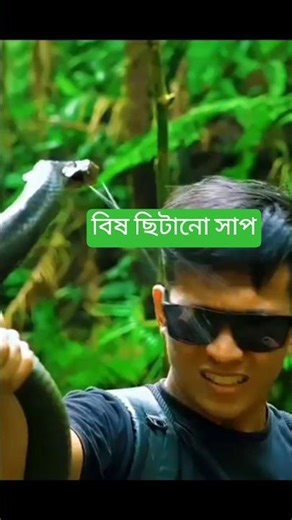 spiting cobra. #facts #shorts #shortfeed #knowledge