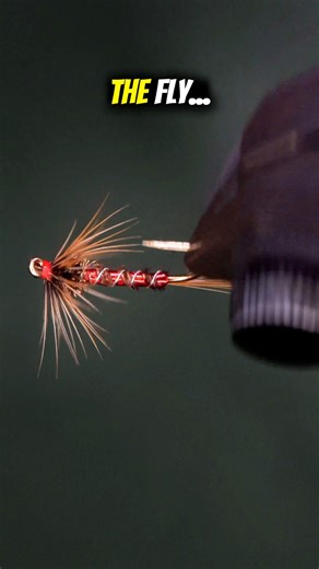 27K views · 381 reactions | The Nemo Cruncher! Hook: Core 1550 wet fly size 12 Thread: TheFlySmith 20D gsp Tail and hackle: Sideling hill hen Body: Natures Spirit pheasant tail Rib: TheFlySmith wire Thorax: Fulling mill peacock herl Tinsel: Small Resin: uv craft Tools: TheFlySmith #fly #flytying #flytyingjunkie #theflysmith #flytyingtutorial | The Fly Smith | Facebook