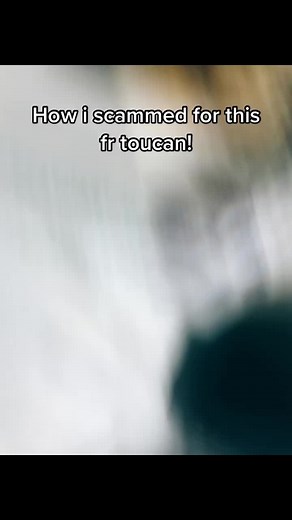 How to scam on adopt me! on TikTok