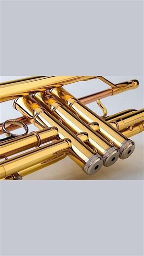 Unlock Your Musical Talent with the Glory Bb Trumpet!