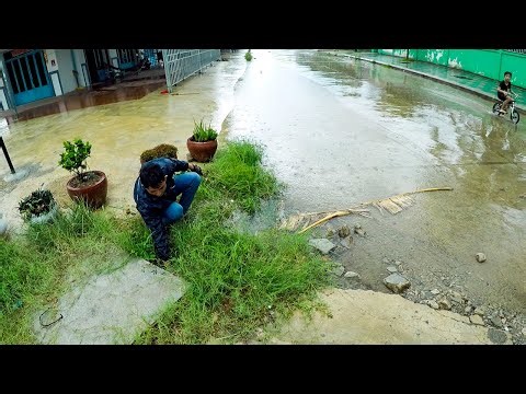 All Culvert On Street Possible For Drain Rain Water After Clean