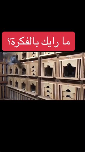 Wooden Birdhouses for Indoor Bird Shelters