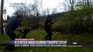41K views · 578 reactions | An Ohio police officer is now under investigation after a K-9 was released on a man during a traffic stop. Newly released body camera footage shows the dog biting the driver who was wrongfully suspected of stealing a vehicle. Ike Ejiochi has the details. https://trib.al/gW3GSXZ | ABC World News Tonight with David Muir | Facebook