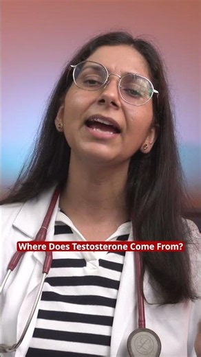 What Is Testosterone? | How Your Brain Controls Testosterone