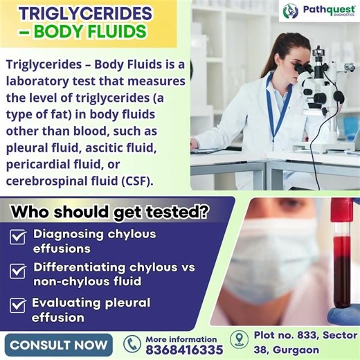Triglycerides (Body Fluids) Test Explained | Purpose, Uses & Importance #bloodtest #pathologylab