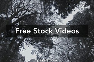 Snowfall Wallpaper Pc Videos, Download The BEST Free 4k Stock Video Footage & Snowfall Wallpaper Pc HD Video Clips