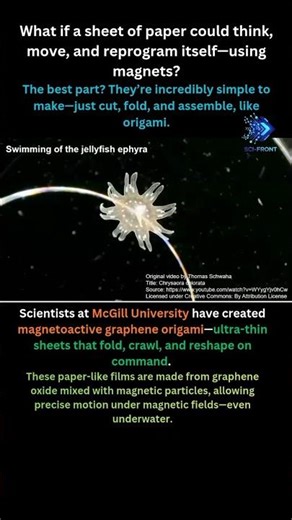 Multifunctional & Reprogrammable Magnetoactive Graphene Origami