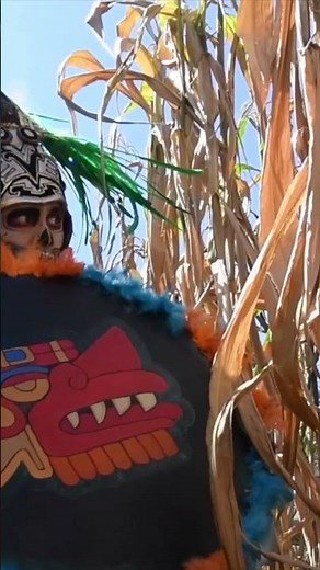 Discover the Florentine Codex Aztec Life Unveiled! #history#aztec