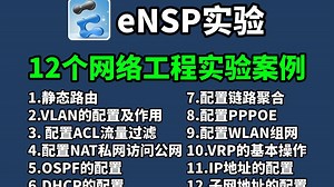 【网络工程师】B站最详细的eNSP实验配置全套保姆级教程，零基础入门到精通，全程干货无废话，允许白嫖，拿走不谢！（附ensp实验教程分享）