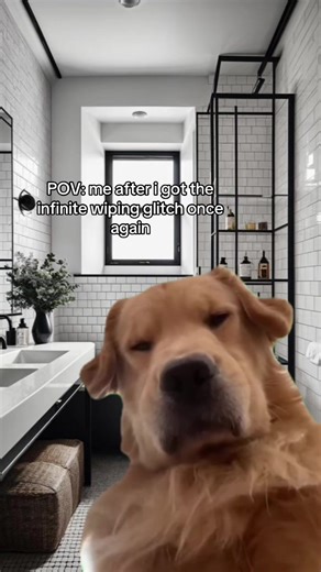 Dealing with the Infinite Wiping Glitch Experience