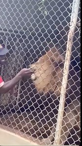 1.6M views · 10K reactions | Viewer discretion advised ⚠️ ………. #reels #fyp #foryou #viral #trending | Bobbkaylee | Facebook