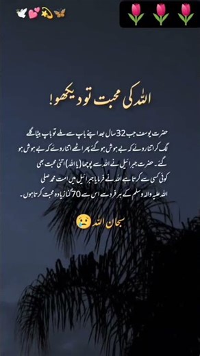 Subhanallah Subhanallah#islamicknowledg #islamiceducation #youtubeshort