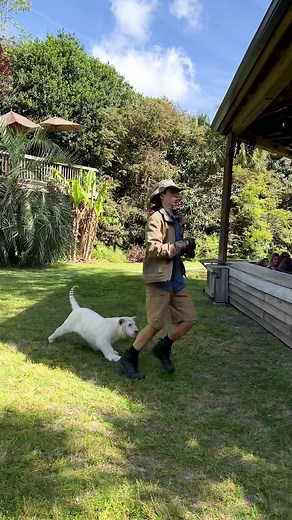 Myrtle Beach Safari on TikTok