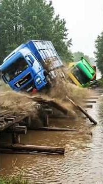 Pigs Fall Into Raging River After Truck Tips on Broken Bridge! #PigTruck #TruckAccident #animal
