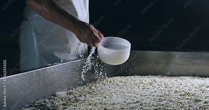 Super slow motion of artisan cheesemakers adding salt in fresh bio eco milk mass during traditional cheese making process at cheese production creamery dairy factory at 1000 fps.