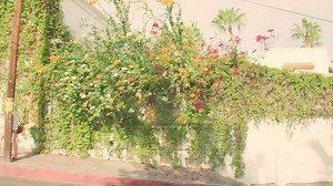 8.8K views · 84 reactions | Discover peace and abundance along the Sea of Cortez. La Paz, Mexico is the ideal place to renew your senses and discover adventure! #LiveLaPaz | Go La Paz | Facebook