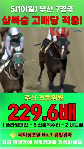 [부산 경마] 5월 10일 일요 7경주 주신 전문위원 삼복승 고배당 적중 #경마 #automobile #하이라이트 #horse #한국마사회 #korean #비트코인 #게임 #뉴스