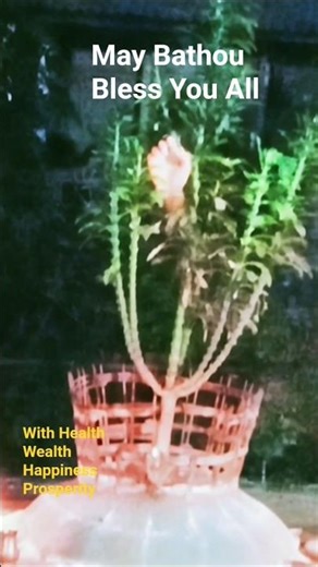 Exploring Bodo Culture and the Mysteries of Bathou Religion