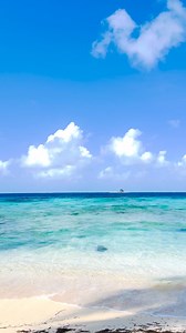 Your best 20 seconds of the week is here 🌊 🎶 ✨ 📍 San Blas Islands, Panama 📽️ Travel Editor @tracey_minkin | Coastal Living