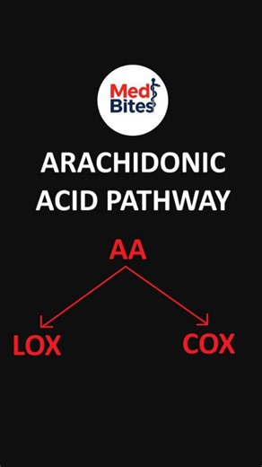 MedBites on Instagram: "Arachidonic acid pathway #step1 #usmle #medicaleducation"