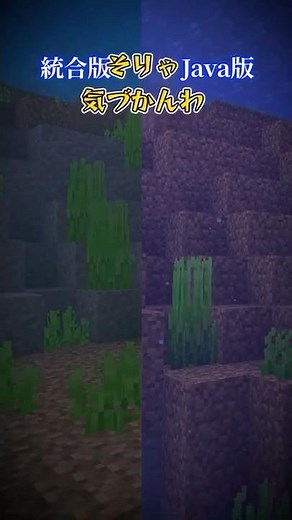 統合版とJava版の違いPart6【マイクラ】
