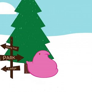 5.9K views · 274 reactions | These PEEPS (snow) bunnies and chicks are having a ball! Who are you rooting for? | PEEPS | Facebook