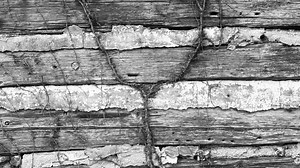 2.3K views · 94 reactions | VIDEO: THE CABINS OF A CONFEDERATE...