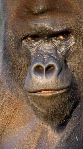 Close-Up Wildlife Moments