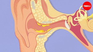 What is earwax — and should you get rid of it?