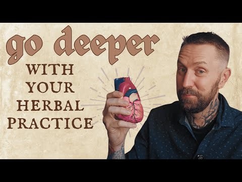Deepen Your Herbal Practice | How to Learn Directly from Plants