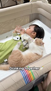 5.3M views · 1.1M reactions | Like Twins! My Baby and Cat Drink Milk Side by Side #family #littleganzhe #babylove❤️ #catlover #twins #cute #newmom | Littleganzhe | Facebook