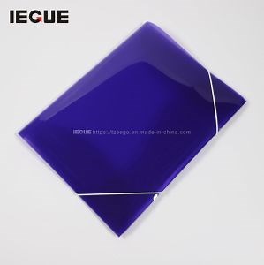 [Hot Item] Custom PP Plastic Printed Logo A4 File Folder