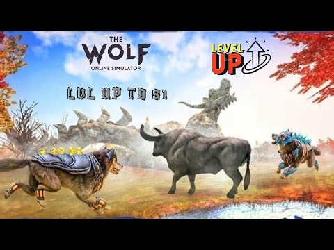 Wolf Level Up to 81 🐺🔥 | Non-Stop Champions Hunts Gameplay | The Wolf