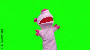 3D Puppet Pig Talking and Dancing Green Screen Animation