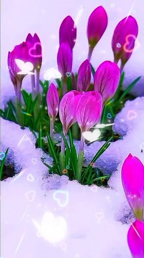 Whimsical Animated Characters in Spring Scenes