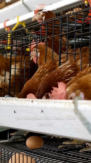 30 reactions · 24 shares | "It’s okay to admit to yourself that you...