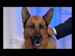 Kaspar alla porta - parte II.wmv