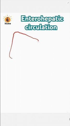 Enterohepatic circulation | Circulation b/w Liver & Intestine | Bile duct | Hepatic portal vein