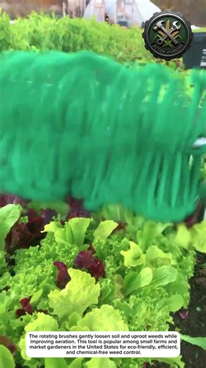 Handheld Rotary Weeder for Fast and Clean Vegetable Beds