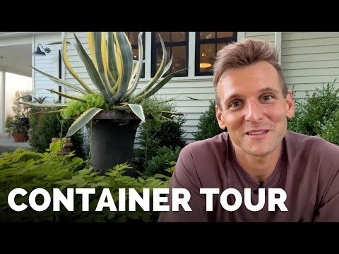 Summer Tour of My Potted Containers | Gardening with Wyse Guide