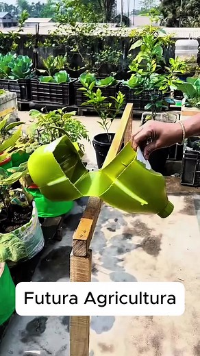 #huerto #hidroponia encasa #cultivo | Hydroponic Plants