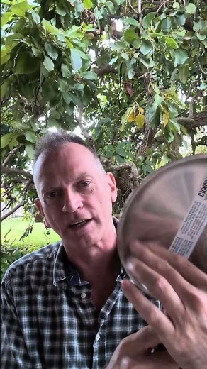 Viking 3 ply cookware fry pan, stainless steel, 8", perfect for one person