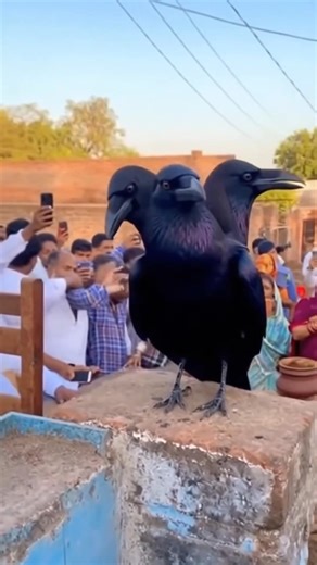 Gurveer Creater B on Reels